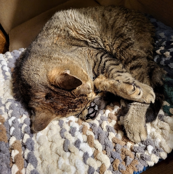 Hand-knit, machine washable and dryable pet pads, custom sizes - Picture 2 of 7